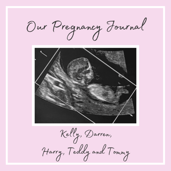 The Pregnancy Journal - Image 2