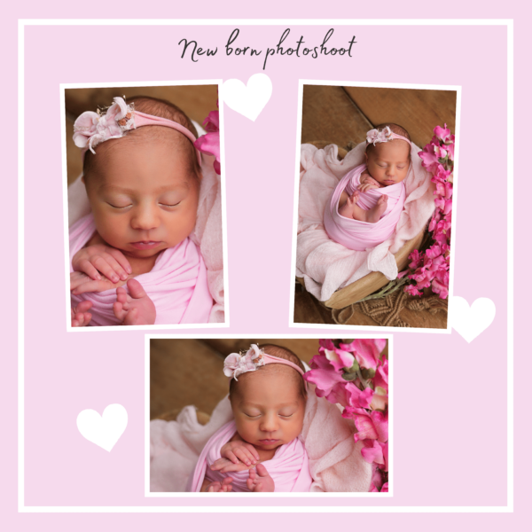 The Pregnancy Journal - Image 3